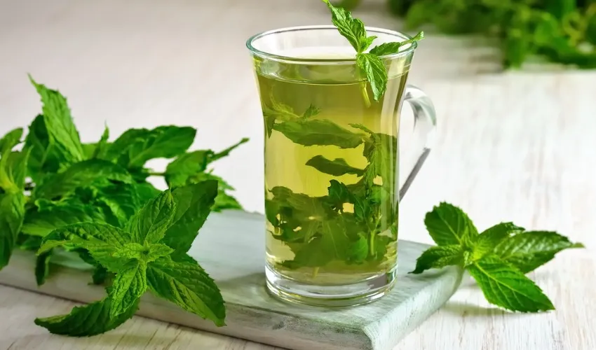 Green Tea, Minuman Alami Sejuta Manfaat