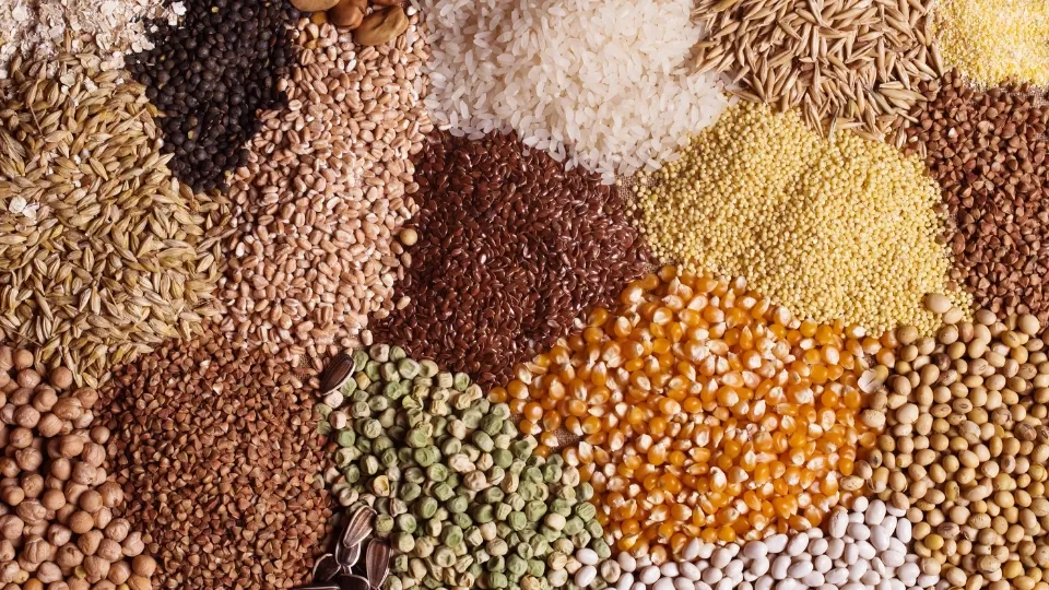 Lebih dari Sekadar Karbohidrat: Manfaat Biji-bijian Utuh untuk Kesehatan Jantung