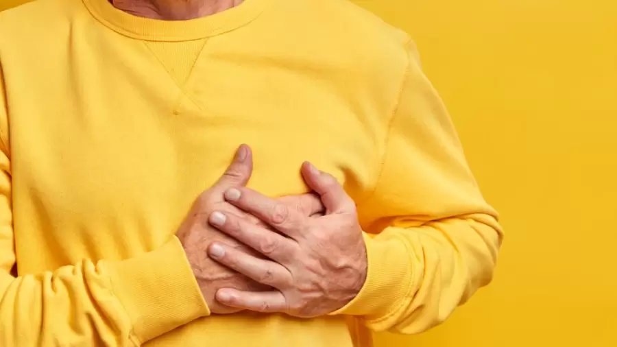 Apa Itu LDL dan HDL? Perbedaan, Fungsi, dan Cara Menjaganya