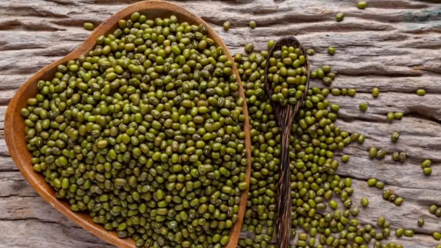 Kacang Hijau dan Manfaatnya: Sumber Energi, Protein, dan Serat Alami