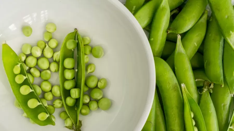 Kacang Polong: Ketahui Nutrisinya yang Kaya Manfaat