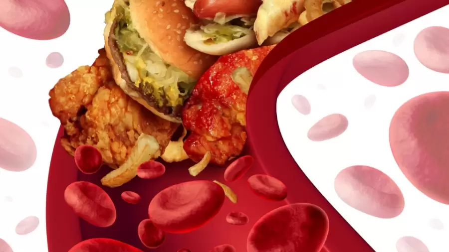 Karbohidrat: Sumber Energi Utama dengan Pengaruh Besar pada Kadar Gula Darah