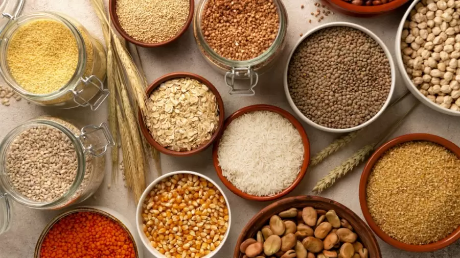 Multigrain: Sumber Serat Terbaik untuk Kesehatan Pencernaan dan Tubuh