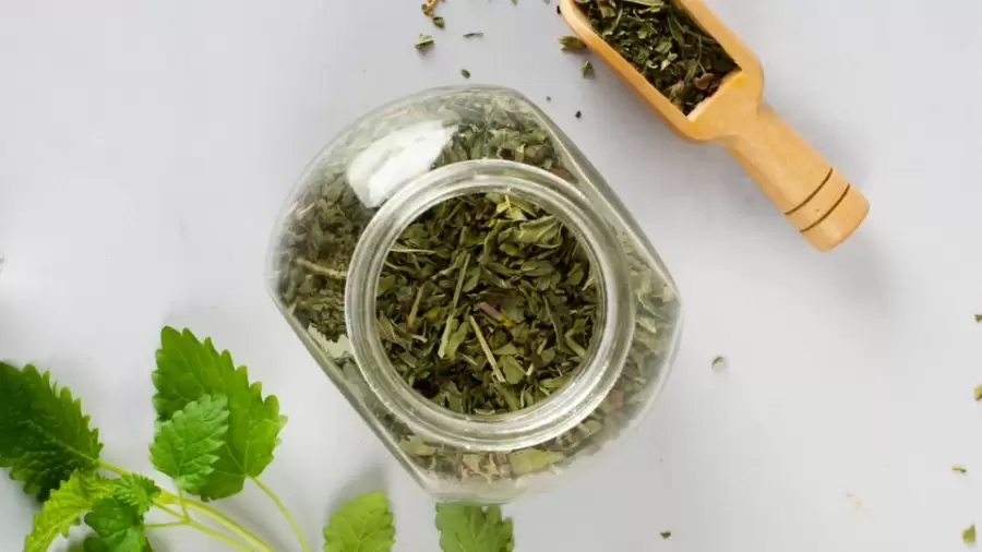 Alternatif Gula: Pemanis Alami yang Cocok untuk Penderita Diabetes