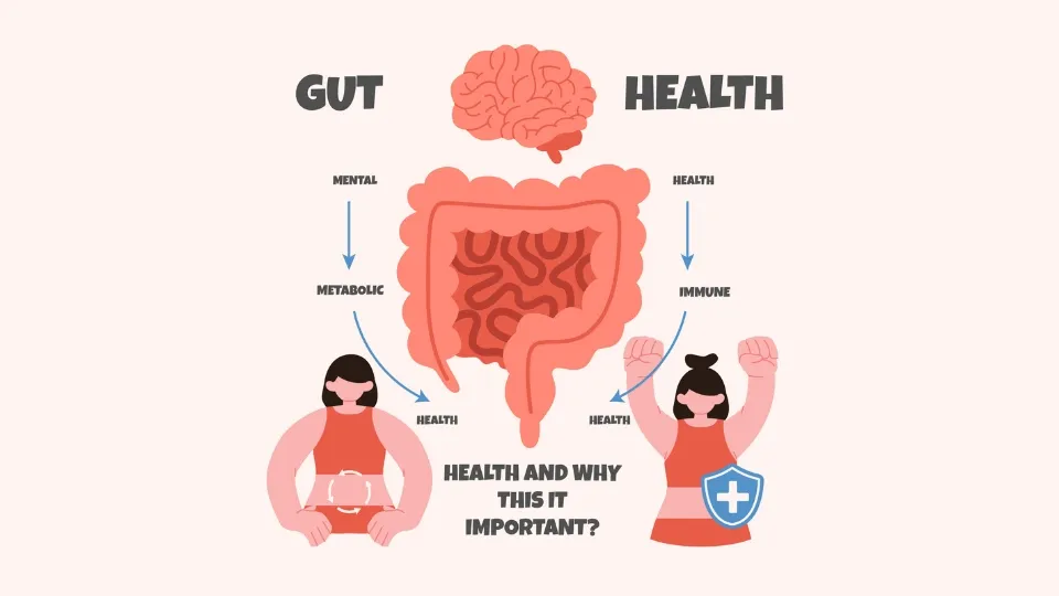 Gut-Brain Axis: Poros Usus-Otak yang Menghubungkan Pencernaan dan Kesehatan Mental Panduan Berbasis Bukti
