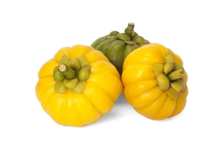 Asam Gelugur (Garcinia atroviridis): Panduan Lengkap Manfaat dan Efek Mengonsumsinya