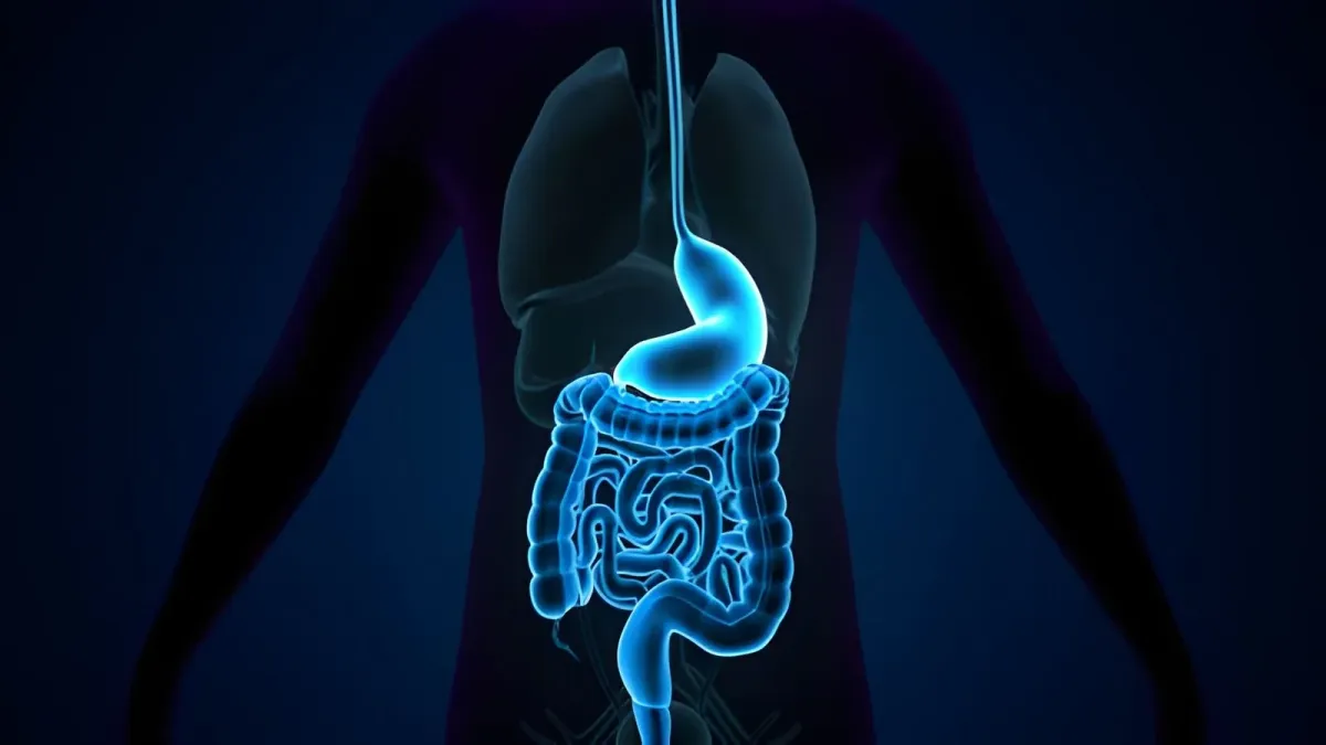Apa Itu Gastroprotektif dan Kenapa Penting untuk Lambung