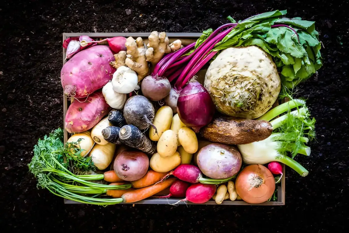 7 Pengganti Nasi yang Mudah Ditemukan di Dapur Indonesia