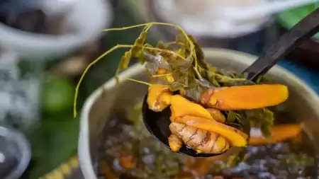 Bolehkan Minum Temulawak Saat Perut Kosong?