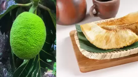 Manfaat Buah Sukun untuk Lambung