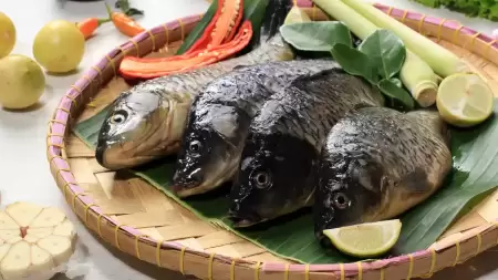 Bolehkah Asam Lambung Makan Ikan Mas?