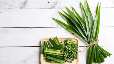 Manfaat Daun Pandan dan Jahe untuk Mengatasi Asam Lambung
