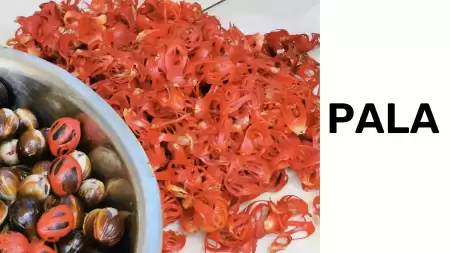 Kenali 5 Manfaat Buah Pala untuk Asam Lambung, Ampuh dan Mudah Didapatkan!