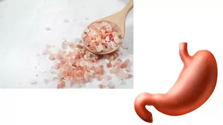 Garam Himalaya untuk Asam Lambung, Bolehkah?