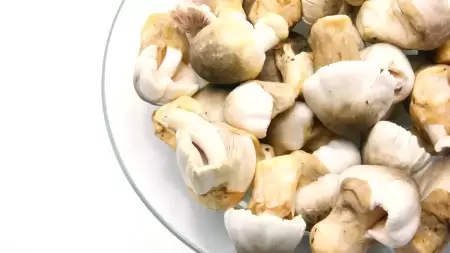 Khasiat Jamur Merang untuk Asam Lambung, yang Jarang Diketahui