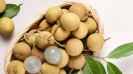Buah Kelengkeng, Manfaat dan Pengaruhnya Bagi Penderita Asam Lambung