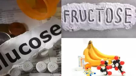 Perbedaan Glukosa, Fruktosa, dan Galaktosa yang Wajib Kamu Ketahui