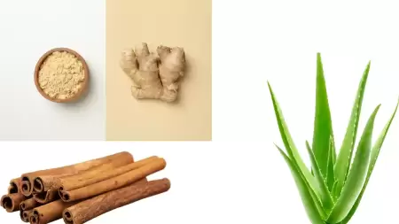 Tak Banyak Orang Tahu! Tanaman Obat untuk Mengatasi Tukak Lambung