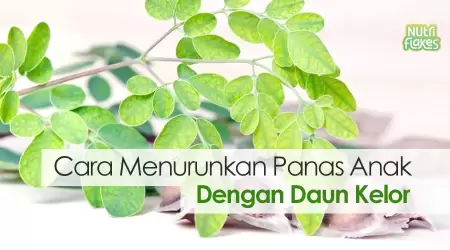Cara Menurunkan Panas Anak dengan Daun Kelor ini Efektif