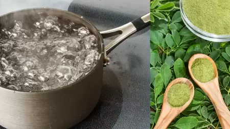 Cara Merebus Daun Kelor untuk Darah Tinggi