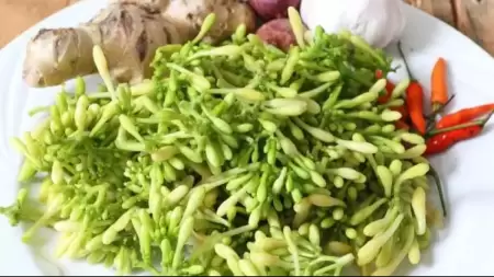 Manfaat Bunga Pepaya untuk Asam Lambung