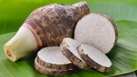Manfaat Ubi Talas untuk Kesehatan Lambung, Apa Saja Khasiatnya?