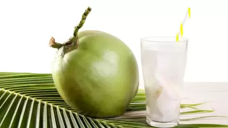 Bolehkah Asam Lambung Minum Air Kelapa? Terjawab Di sini