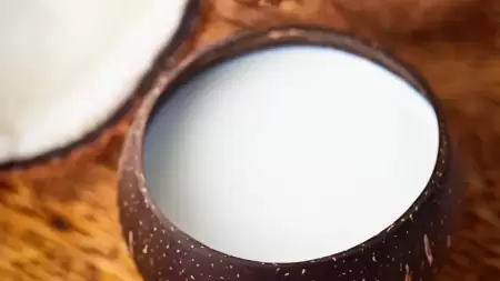 Pengganti Santan untuk Asam Lambung, Lebih Aman dan Tetap Kaya Rasa