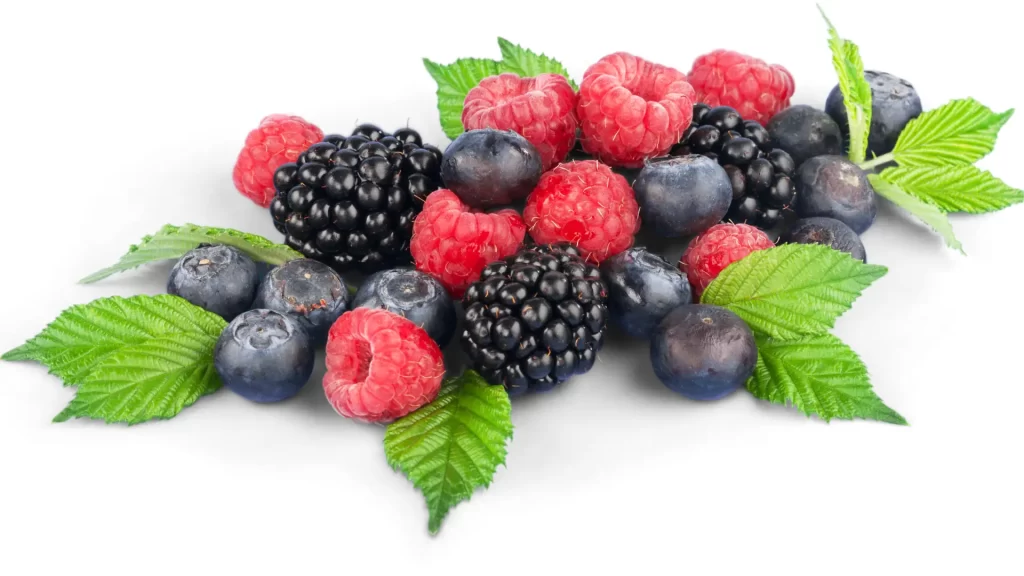 aneka-buah-berry