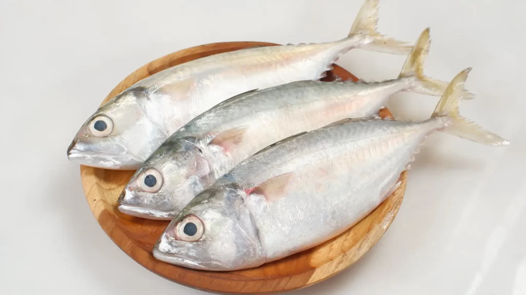 ikan_kembung
